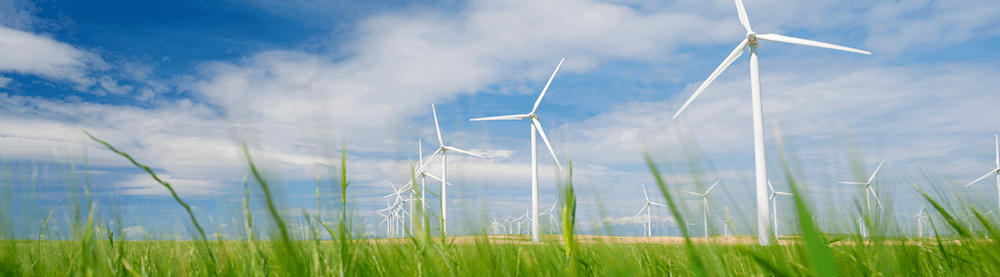 GREEN ENERGY IS SMART,  SUSTAINABLE AND COST-EFFECTIVE