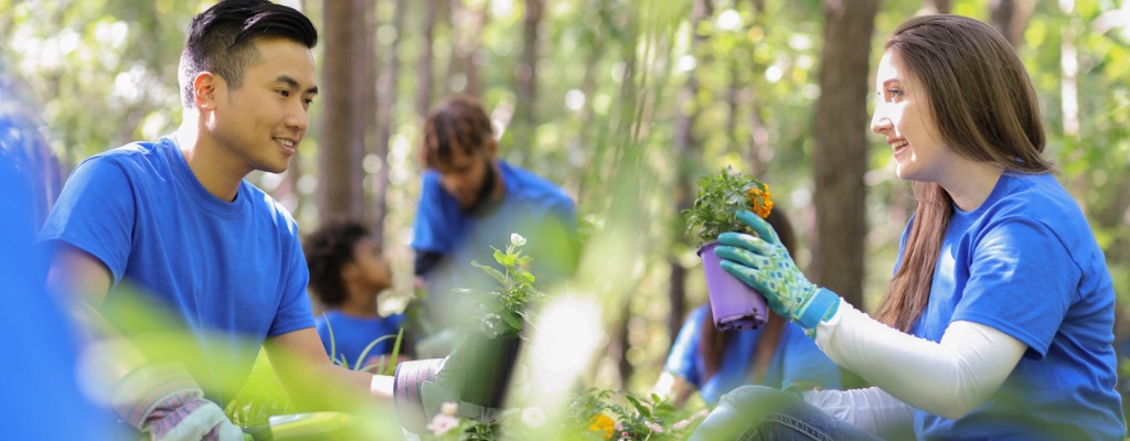 Volunteers planting