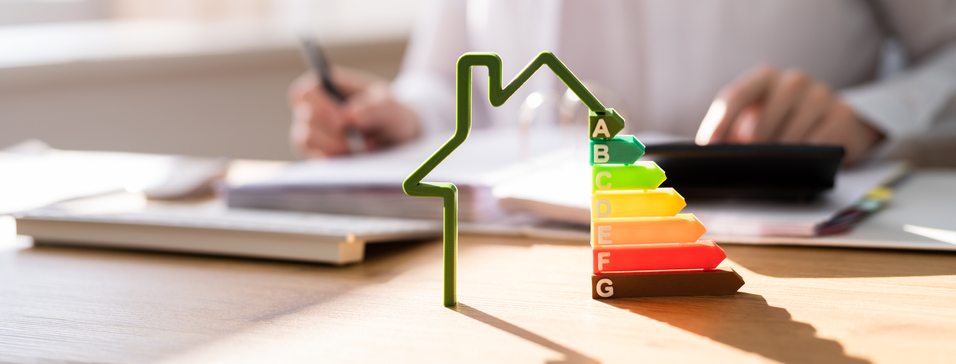 energy audit pros and cons